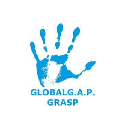 Global-GAP-GRASP